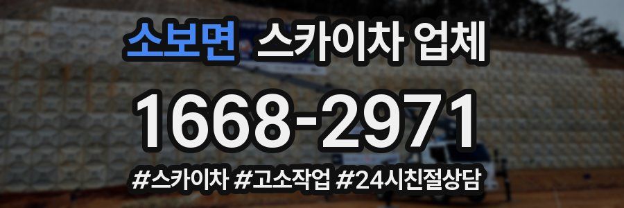 소보면 스카이차 업체