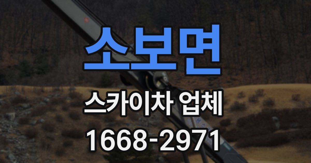 소보면 스카이차 업체