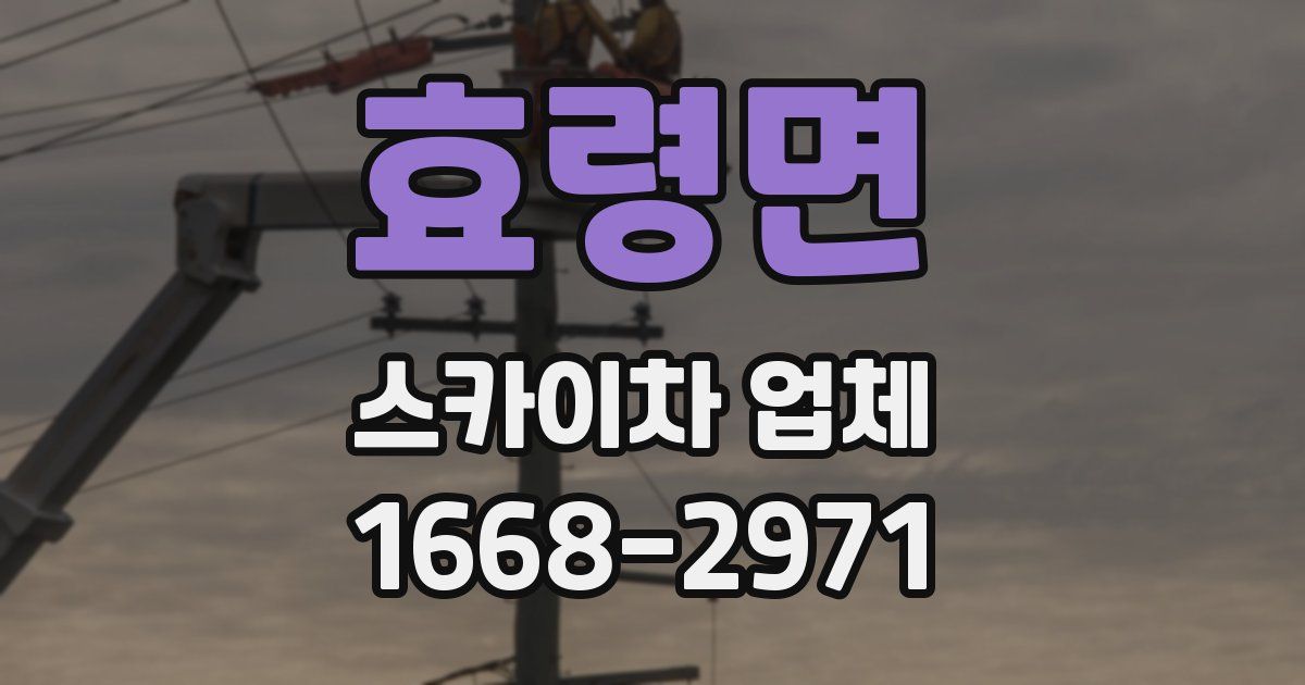 효령면 스카이차 업체