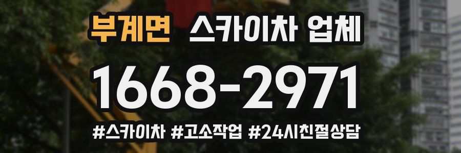 부계면 스카이차 업체