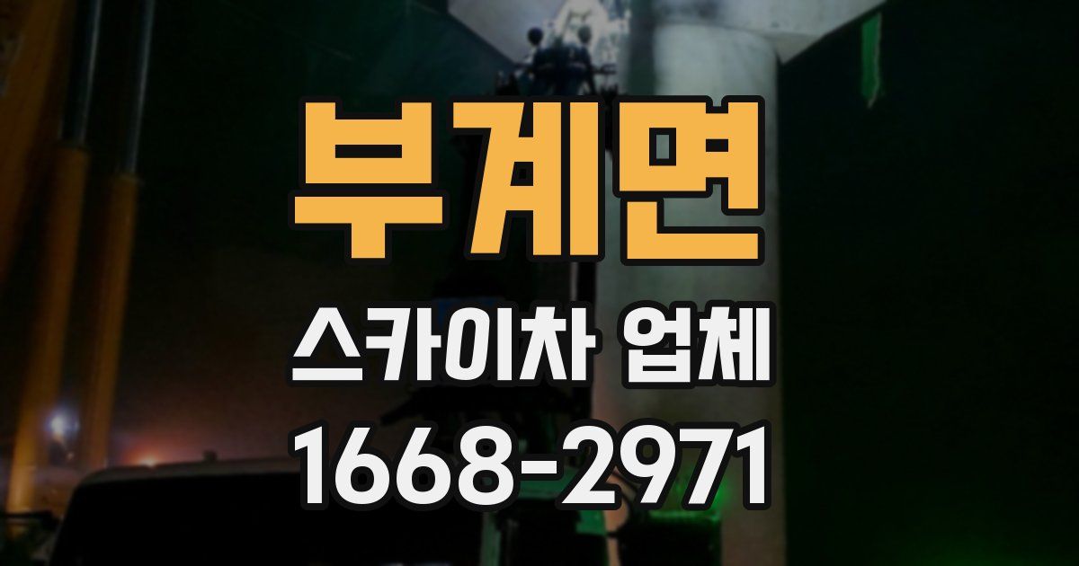 부계면 스카이차 업체
