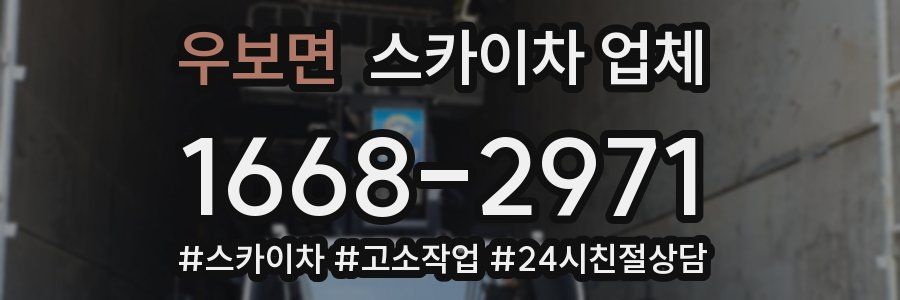 우보면 스카이차 업체