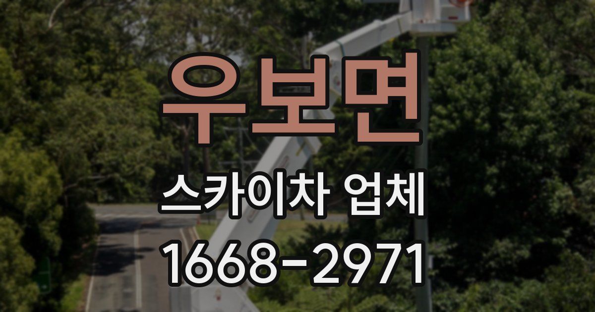 우보면 스카이차 업체