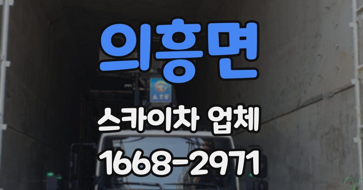 의흥면 스카이차 업체