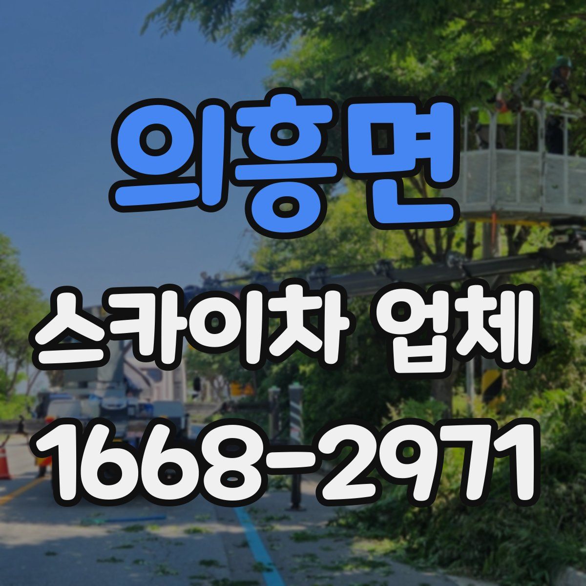 의흥면 스카이차 업체