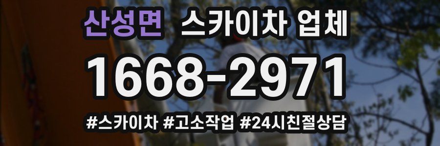 산성면 스카이차 업체