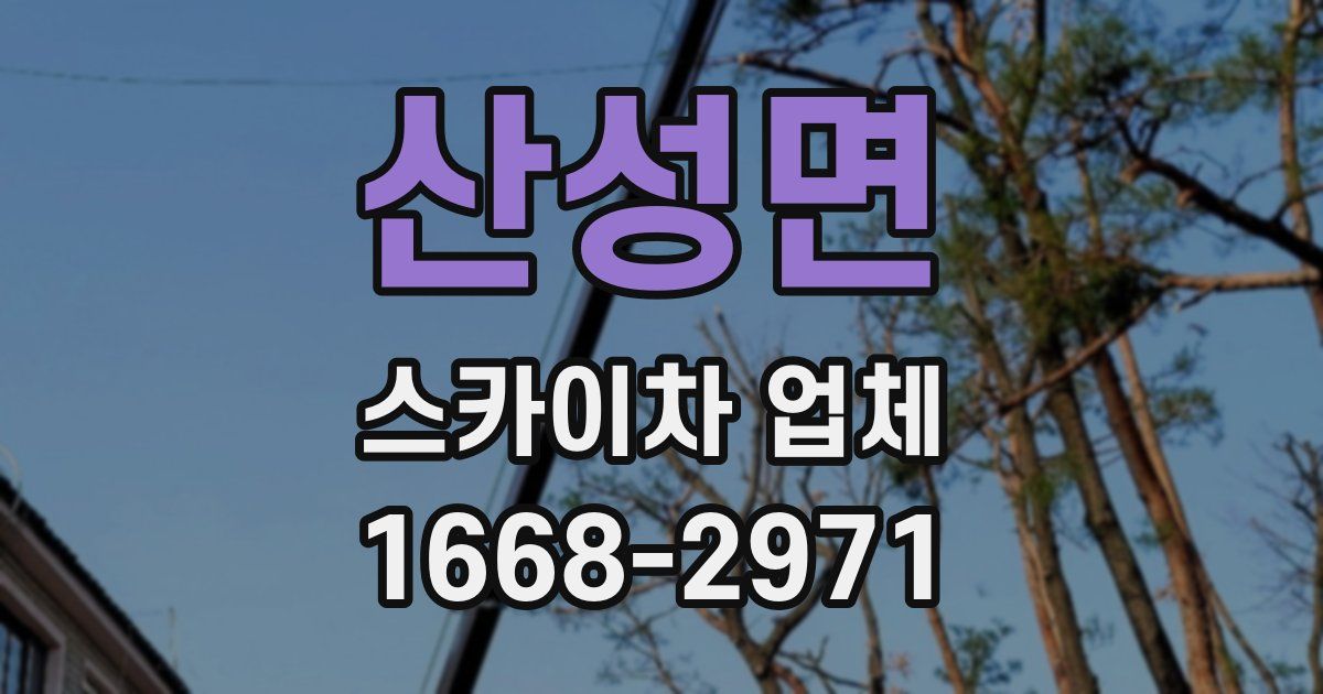 산성면 스카이차 업체