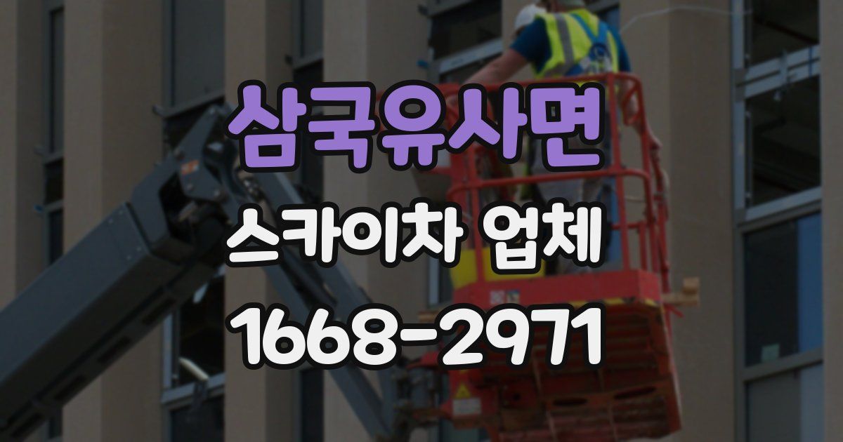 삼국유사면 스카이차 업체