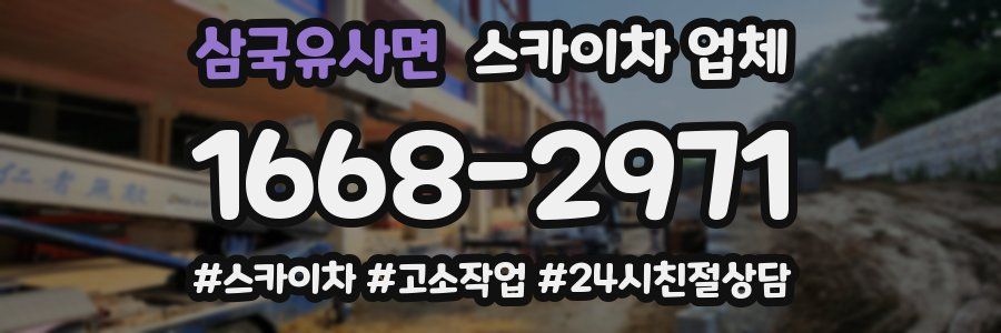 삼국유사면 스카이차 업체