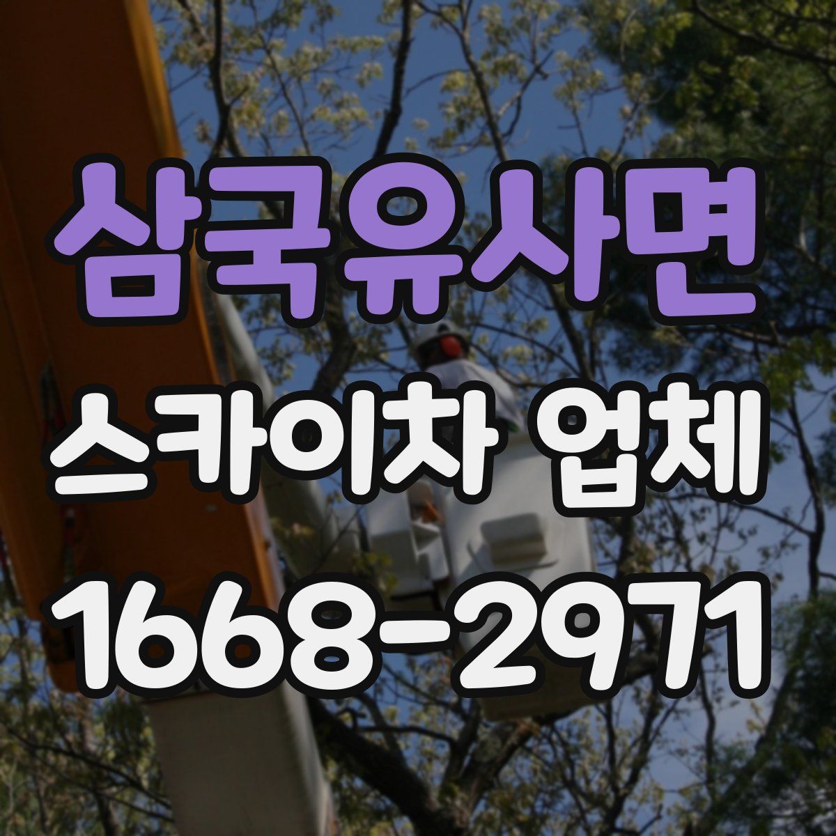 삼국유사면 스카이차 업체