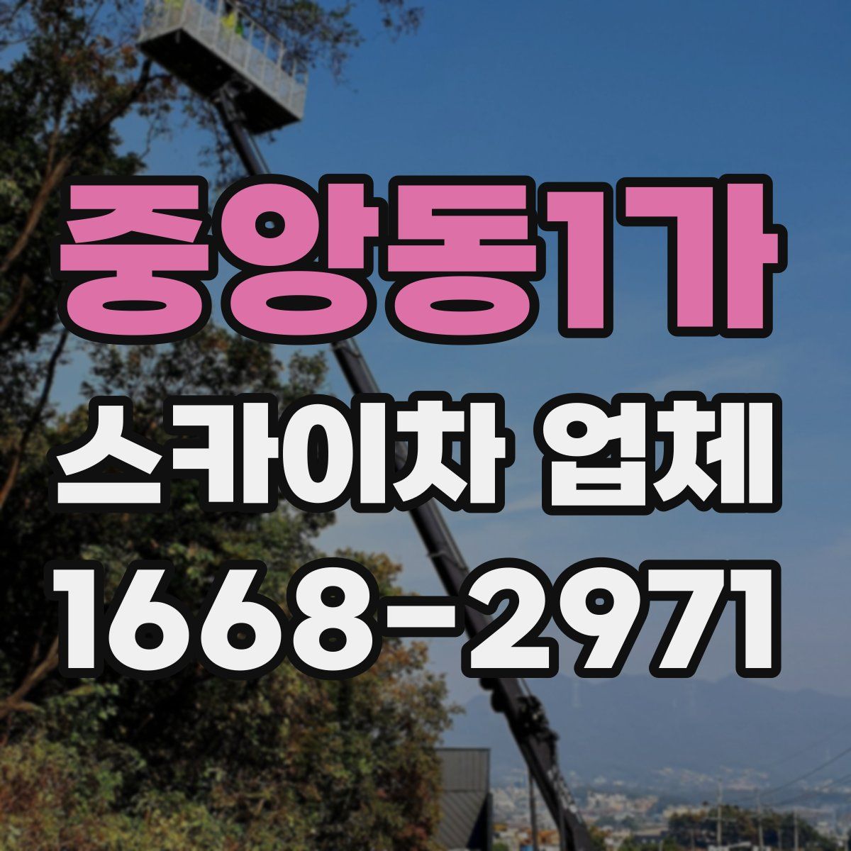 중앙동1가 스카이차 업체