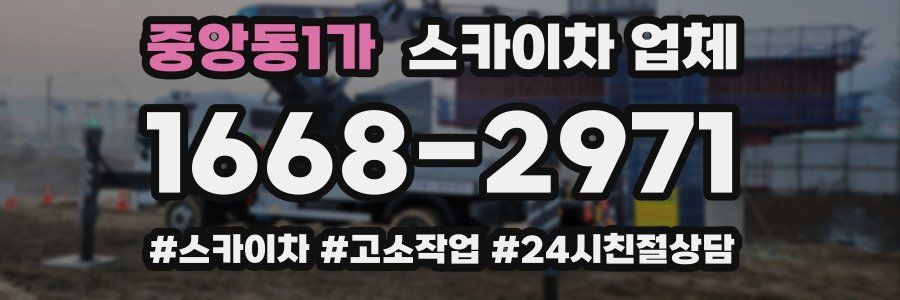중앙동1가 스카이차 업체