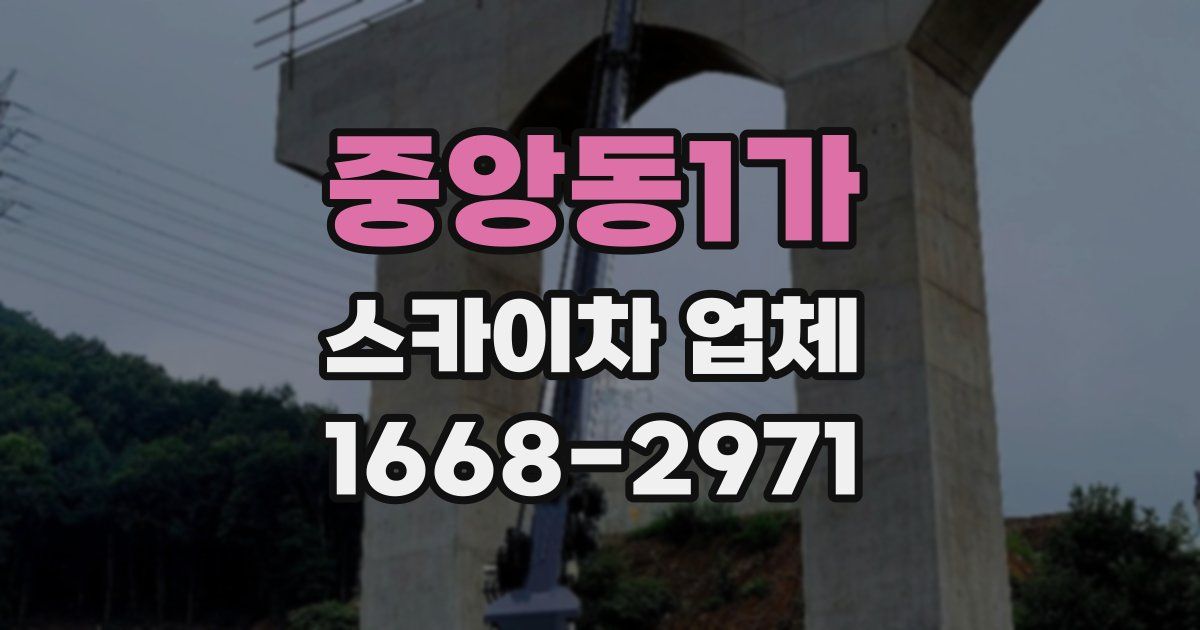 중앙동1가 스카이차 업체