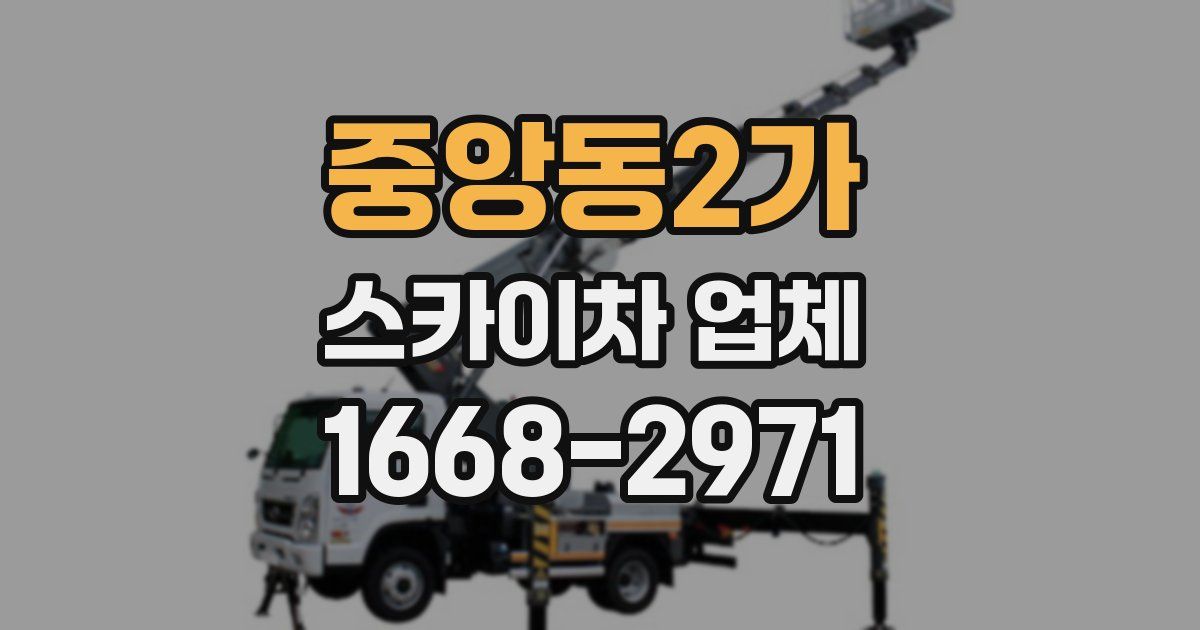 중앙동2가 스카이차 업체