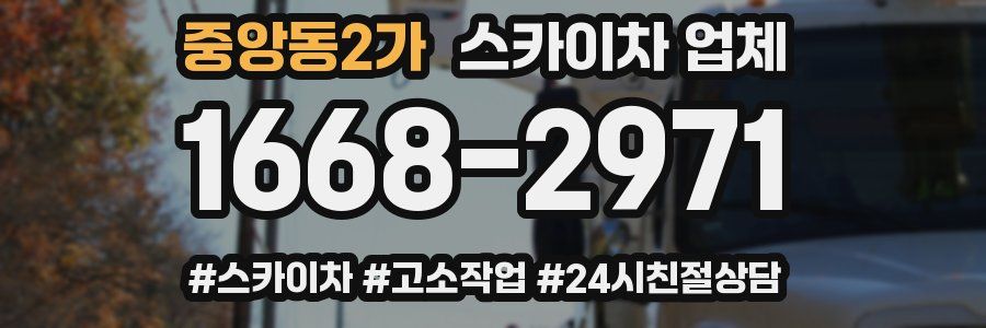 중앙동2가 스카이차 업체