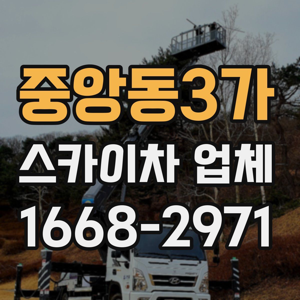중앙동3가 스카이차 업체
