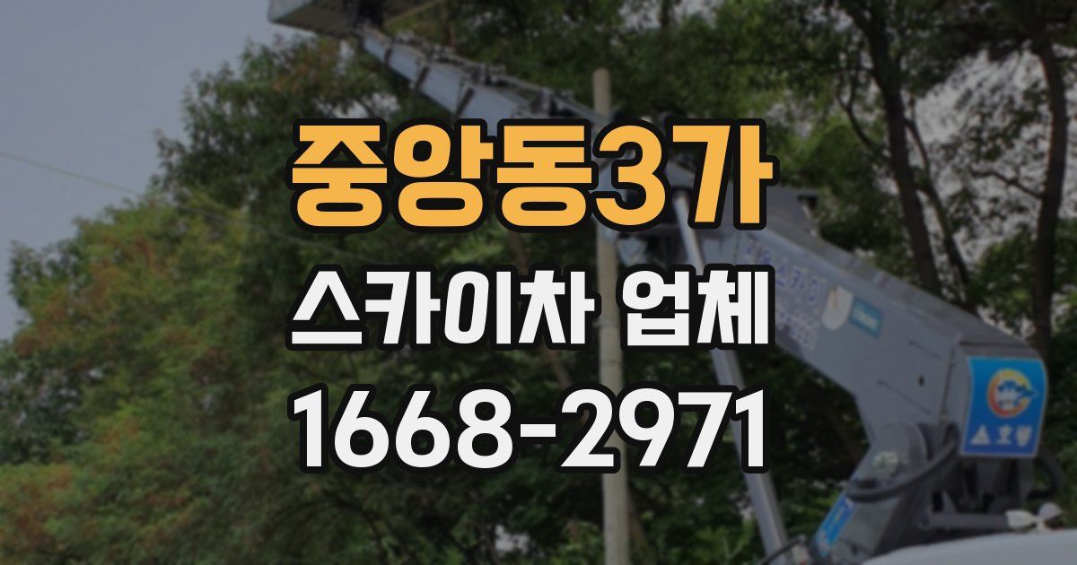 중앙동3가 스카이차 업체