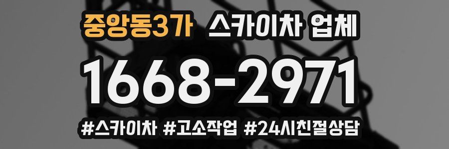 중앙동3가 스카이차 업체