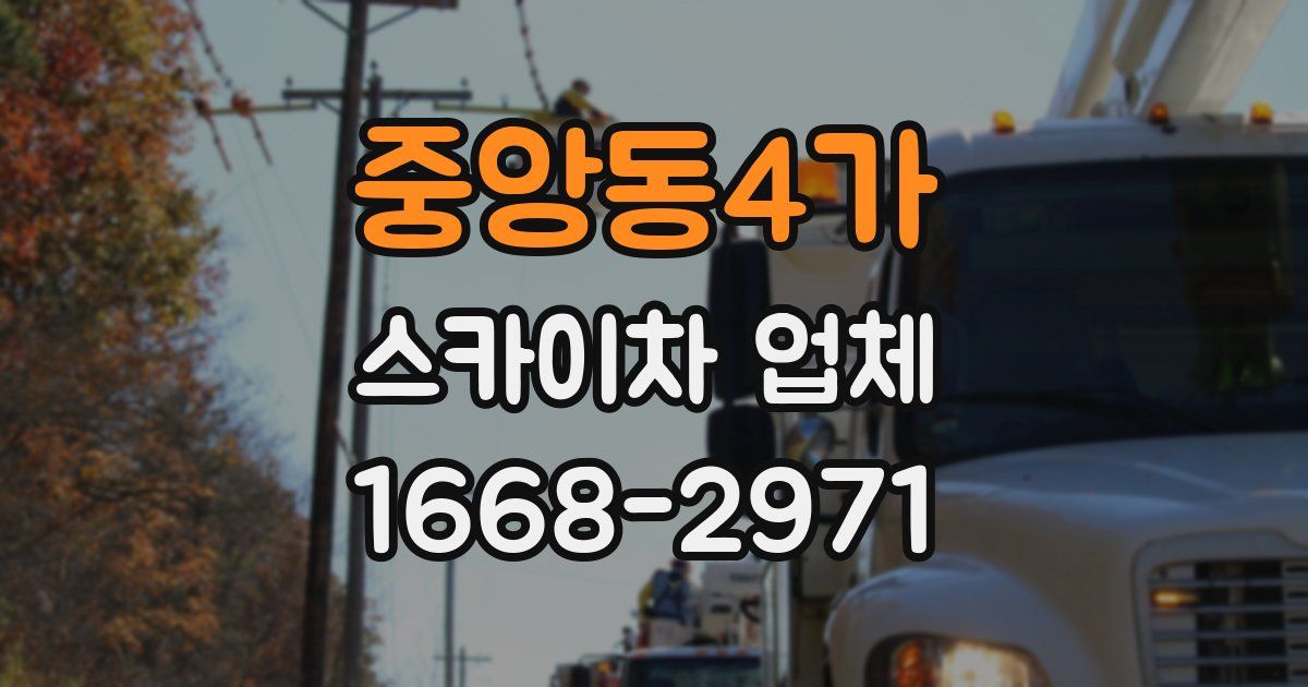 중앙동4가 스카이차 업체