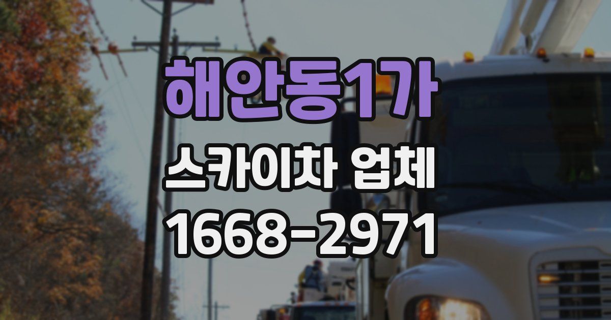 해안동1가 스카이차 업체