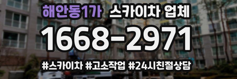 해안동1가 스카이차 업체
