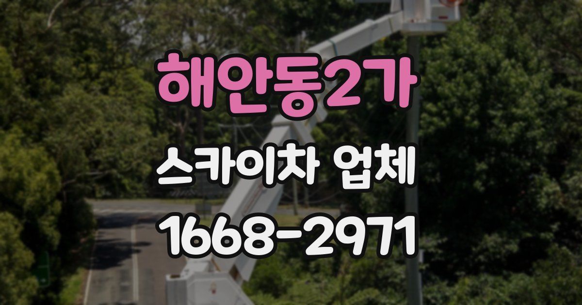 해안동2가 스카이차 업체