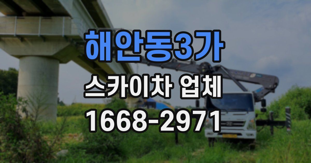 해안동3가 스카이차 업체