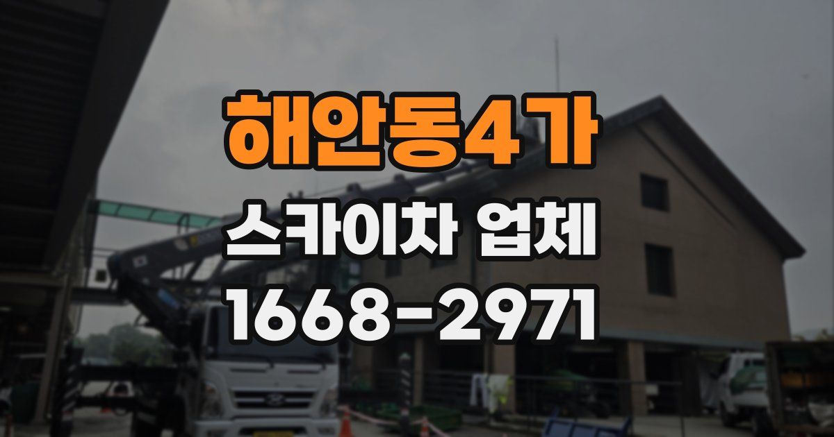 해안동4가 스카이차 업체