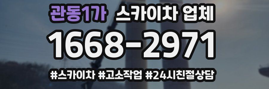관동1가 스카이차 업체