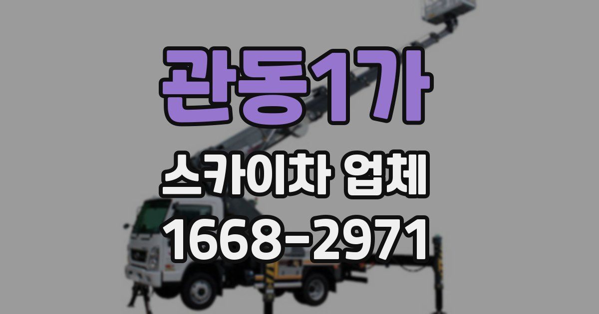 관동1가 스카이차 업체
