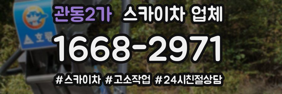 관동2가 스카이차 업체