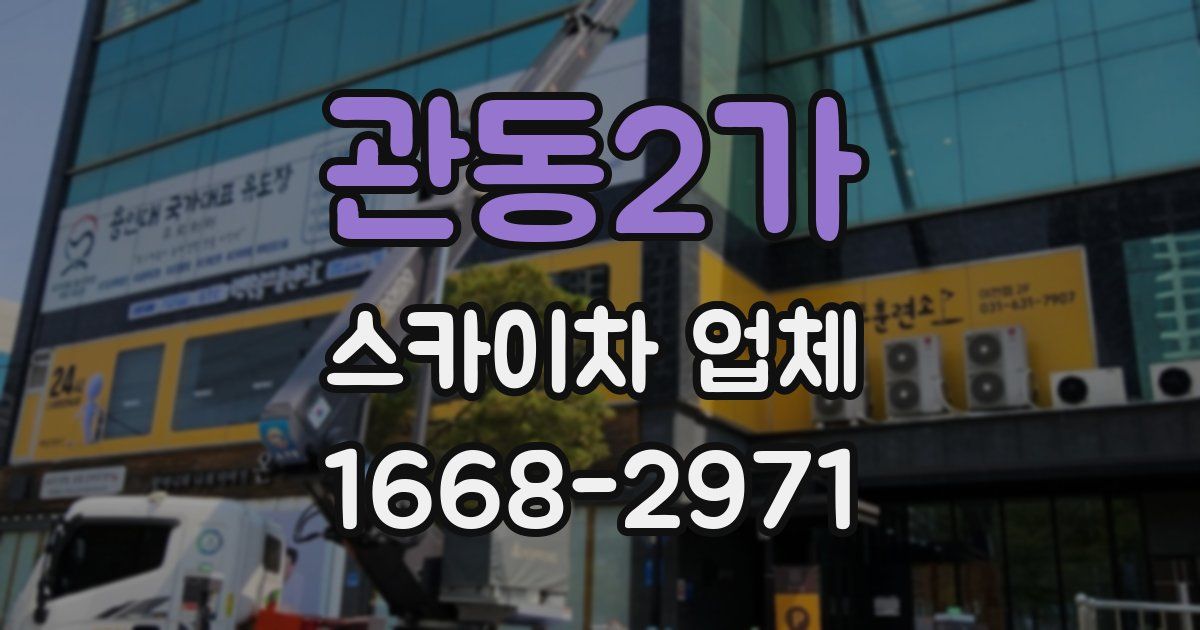 관동2가 스카이차 업체