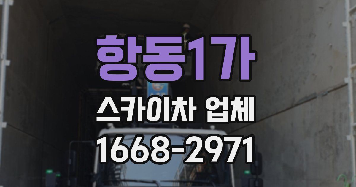 항동1가 스카이차 업체
