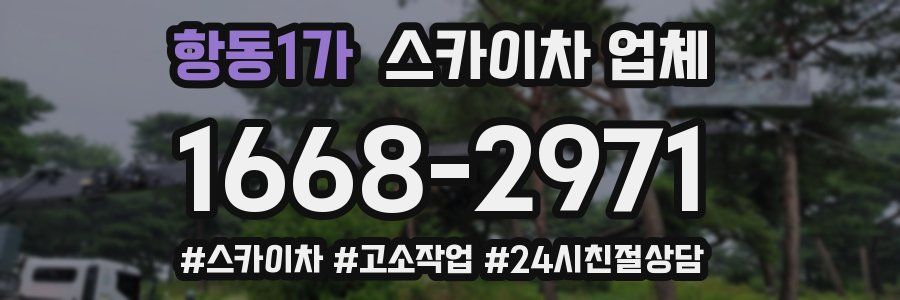 항동1가 스카이차 업체