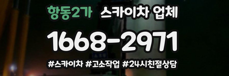항동2가 스카이차 업체