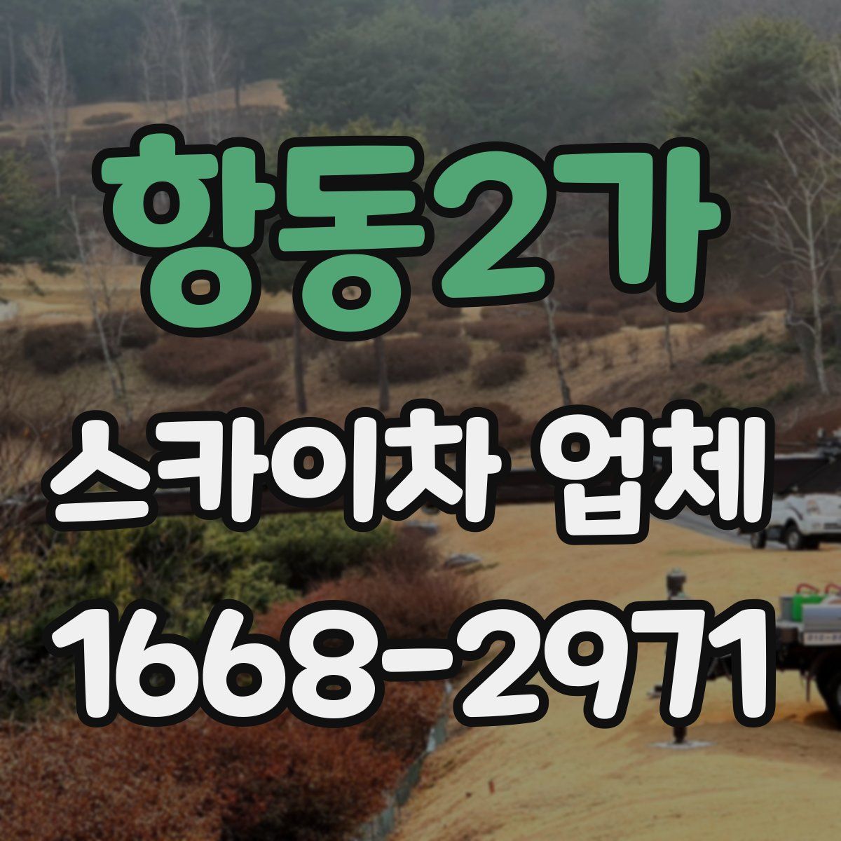 항동2가 스카이차 업체