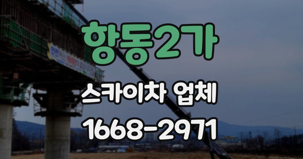 항동2가 스카이차 업체