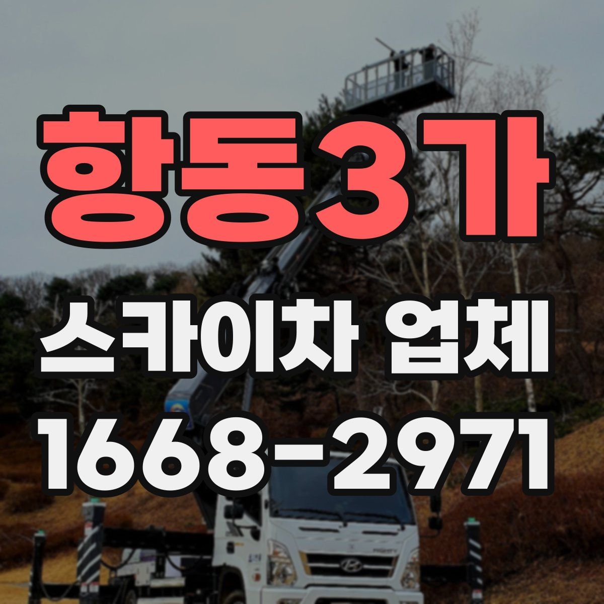 항동3가 스카이차 업체