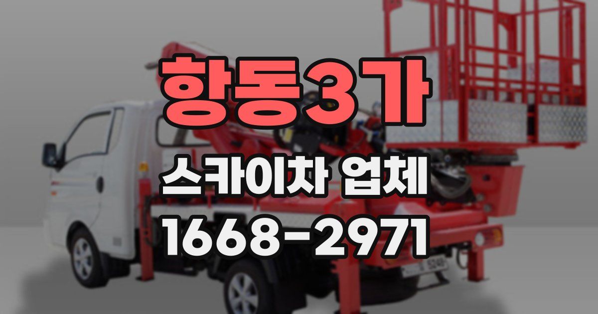 항동3가 스카이차 업체