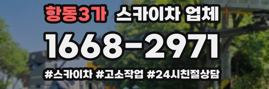 항동3가 스카이차 업체