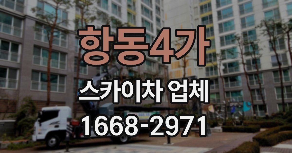 항동4가 스카이차 업체