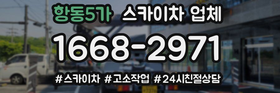 항동5가 스카이차 업체