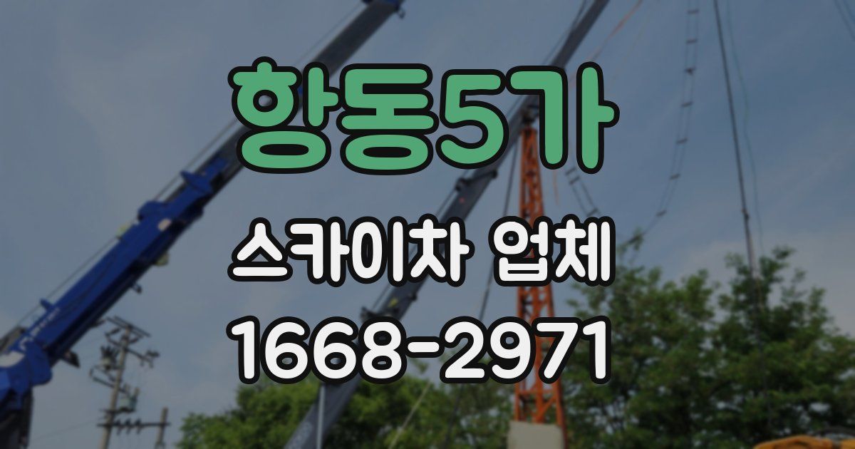 항동5가 스카이차 업체