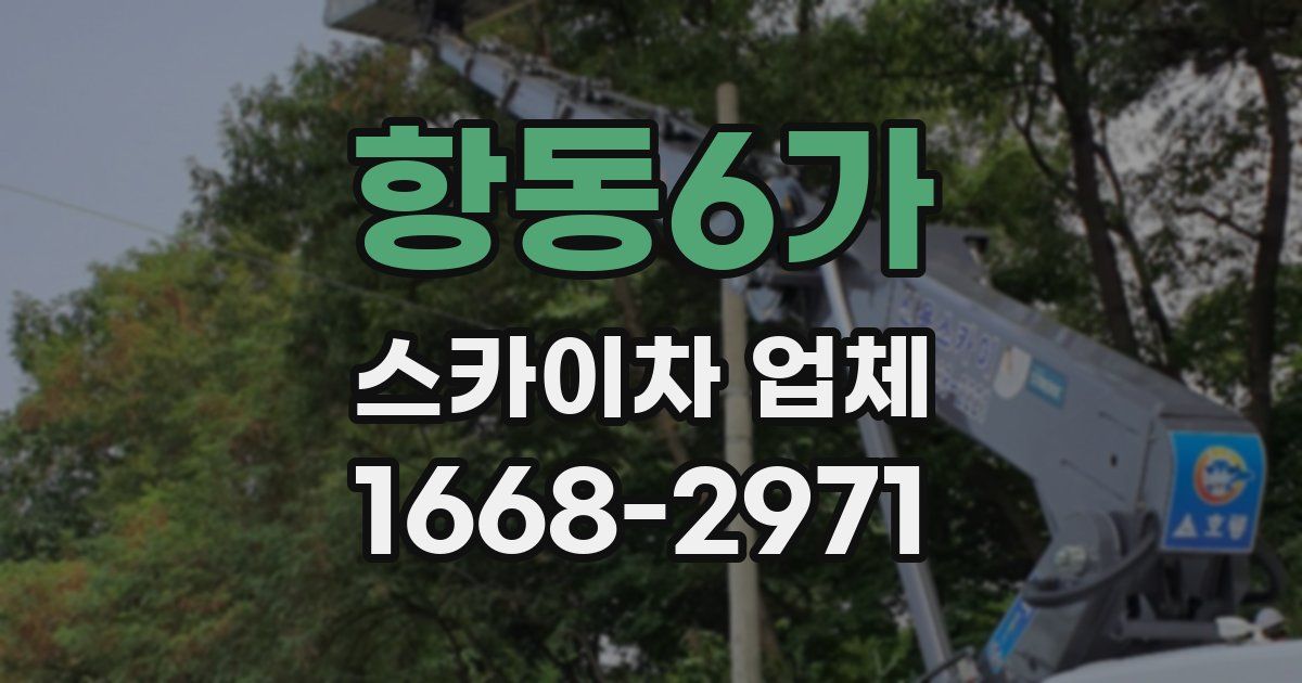 항동6가 스카이차 업체