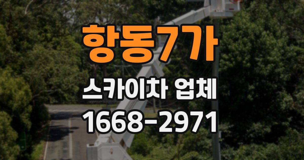 항동7가 스카이차 업체