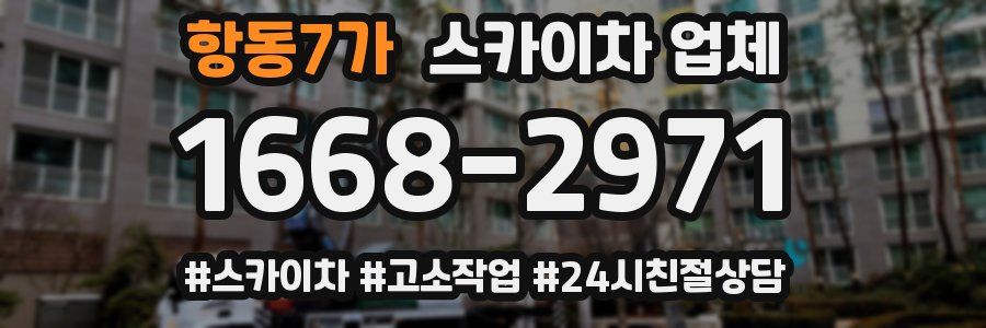항동7가 스카이차 업체