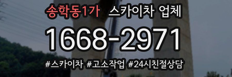 송학동1가 스카이차 업체