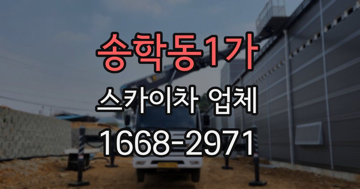송학동1가 스카이차 업체