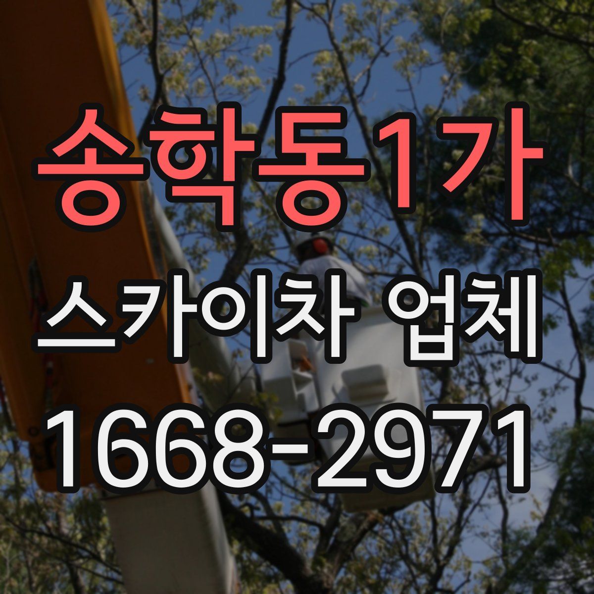 송학동1가 스카이차 업체