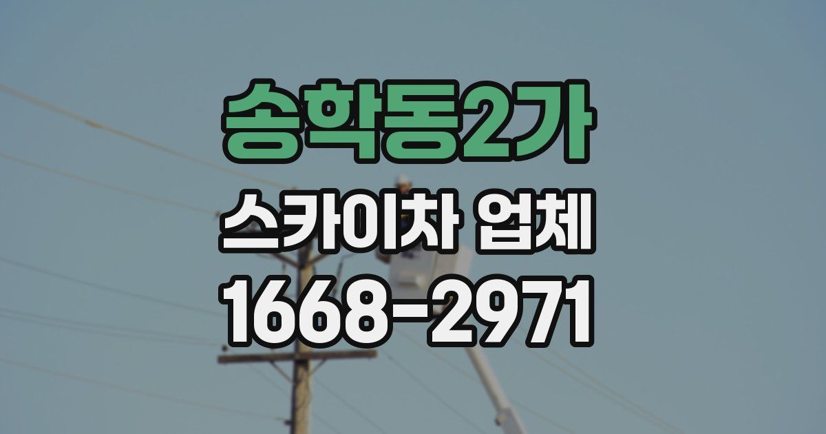송학동2가 스카이차 업체